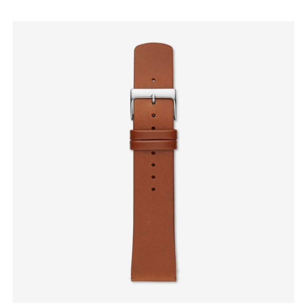 Skagen Watch Band NWT 20 mm Brown Leather